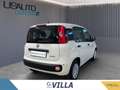 Fiat Panda 1.0 70cv Hybrid Bianco - thumbnail 4