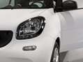 smart forTwo fortwo 70 1.0 Twinamic Youngster 71CV Bianco - thumbnail 4