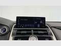 Lexus NX 300 300h Business 2WD Plateado - thumbnail 38