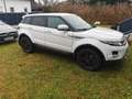 Land Rover Range Rover Evoque TD4 Prestige - thumbnail 4