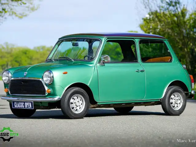MINI 1100 Special