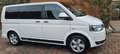 Volkswagen T5 Multivan Multivan DSG 4MOTION Highline - thumbnail 2