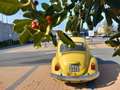 Volkswagen Maggiolino 1.2 L vetro piatto Jaune - thumbnail 6