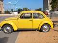 Volkswagen Maggiolino 1.2 L vetro piatto Jaune - thumbnail 5