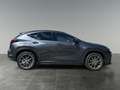 Lexus NX 450h+ F-Sport     8-fach bereift! Anhängerkupplung! Grau - thumbnail 6