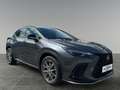 Lexus NX 450h+ F-Sport     8-fach bereift! Anhängerkupplung! Grau - thumbnail 7