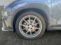 Lexus NX 450h+ F-Sport     8-fach bereift! Anhängerkupplung! Grau - thumbnail 15