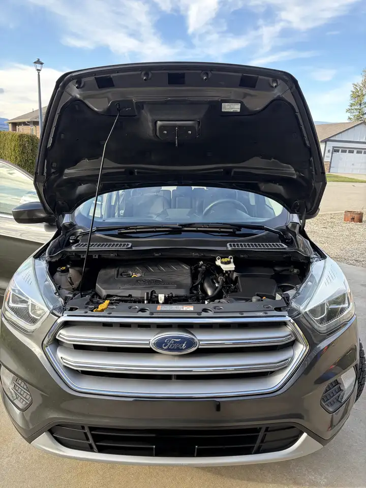 Ford Escape снимка Ford Escape