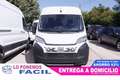 Fiat Ducato 2.2 HDI 3.5T HEAVY L4H2 140CV 3P # IVA DEDU Blanco - thumbnail 2