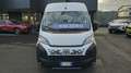 Fiat Ducato Series 9 Furgone Lastrato 35q Mh2 140cv 2.2 Multij Bianco - thumbnail 2
