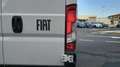 Fiat Ducato Series 9 Furgone Lastrato 35q Mh2 140cv 2.2 Multij Bianco - thumbnail 12