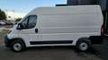 Fiat Ducato Series 9 Furgone Lastrato 35q Mh2 140cv 2.2 Multij Bianco - thumbnail 5