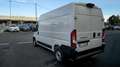 Fiat Ducato Series 9 Furgone Lastrato 35q Mh2 140cv 2.2 Multij Bianco - thumbnail 11