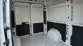 Fiat Ducato Series 9 Furgone Lastrato 35q Mh2 140cv 2.2 Multij Bianco - thumbnail 14