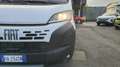 Fiat Ducato Series 9 Furgone Lastrato 35q Mh2 140cv 2.2 Multij Bianco - thumbnail 4