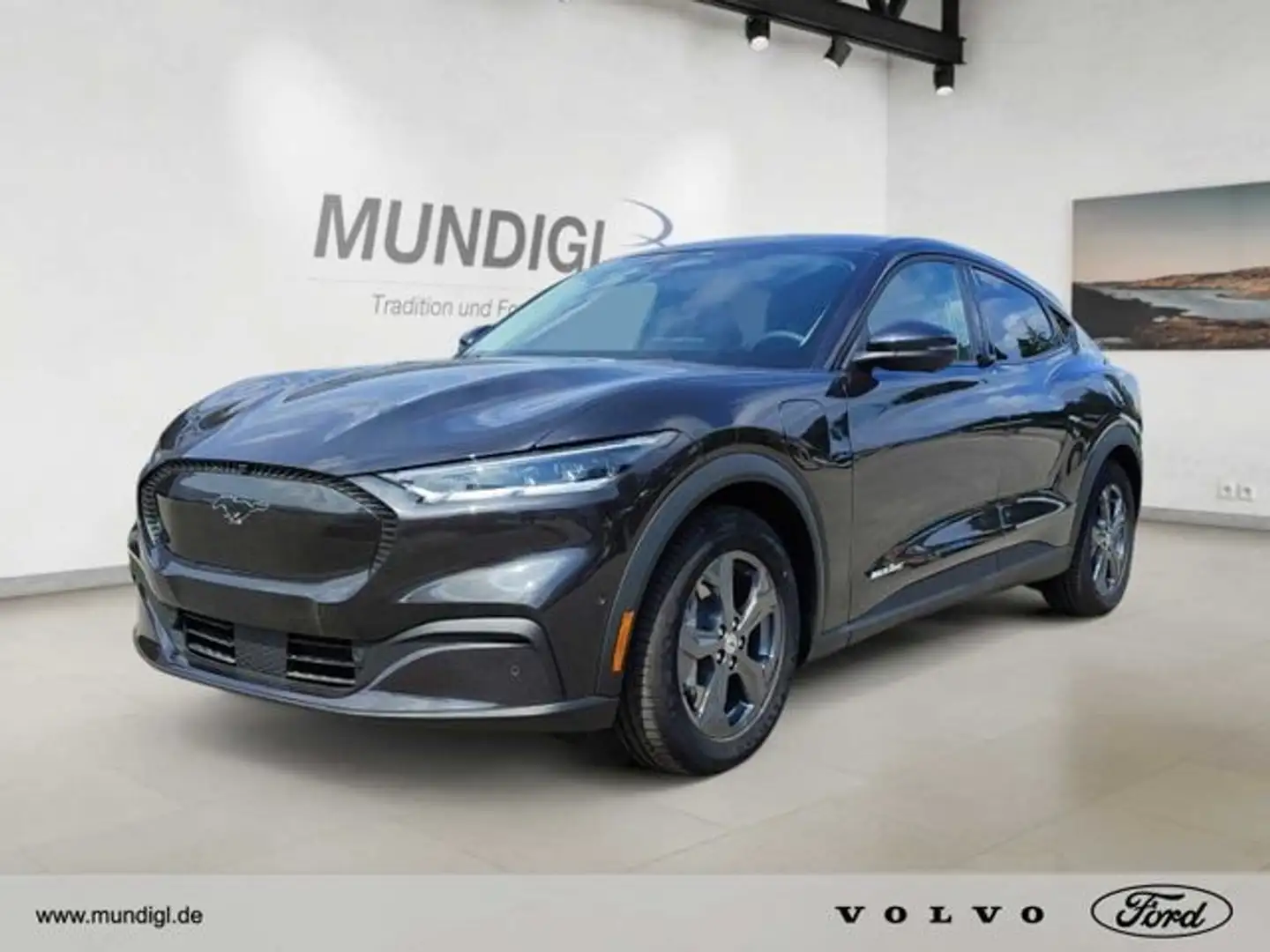 Ford Mustang Mach-E NAVI,Klimaaut.,LED,ACC,360 Leder Digitales Cockpit Grau - 1