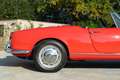 Alfa Romeo Crosswagon Rouge - thumbnail 18