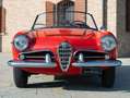 Alfa Romeo Crosswagon Rouge - thumbnail 16