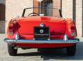 Alfa Romeo Crosswagon Rouge - thumbnail 3