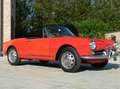 Alfa Romeo Crosswagon Rouge - thumbnail 15