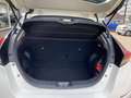 Nissan Leaf Acenta 40 kWh navigatie/airco/automaat Bianco - thumbnail 5