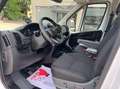 Fiat Ducato Toyota Proace 2.2 L3 H2 140 CV COME NUOVO Weiß - thumbnail 7