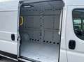 Fiat Ducato Toyota Proace 2.2 L3 H2 140 CV COME NUOVO Weiß - thumbnail 11