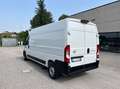 Fiat Ducato Toyota Proace 2.2 L3 H2 140 CV COME NUOVO Weiß - thumbnail 2