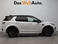 Land Rover Discovery Sport 2.0TD4 SE 4x4 150 Alb - thumbnail 3
