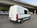 Mercedes-Benz Sprinter 317 CDI RWD L2 Mixto 3,5 to AHK Regaleinbau Bianco - thumbnail 3