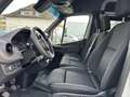 Mercedes-Benz Sprinter 317 CDI RWD L2 Mixto 3,5 to AHK Regaleinbau Bianco - thumbnail 7