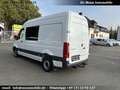 Mercedes-Benz Sprinter 317 CDI RWD L2 Mixto 3,5 to AHK Regaleinbau Bianco - thumbnail 1