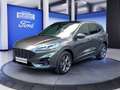 Ford Kuga 2.0 EcoBlue 4x4 Aut. ST-LINE X Grau - thumbnail 1