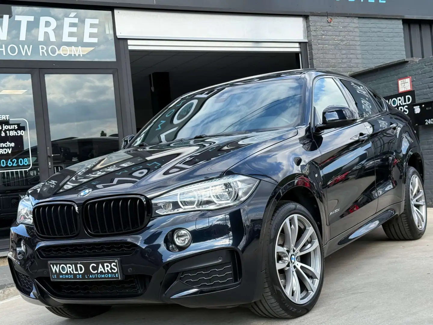 BMW X6 3.0 dAS xDrive30 PACK M - TOIT PANO - HEAD-UP Bleu - 1
