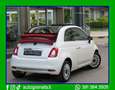 Fiat 500 cabrio 1.2 Lounge My20 69cv Bianco - thumbnail 3