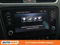 Skoda Octavia 2.0 TDI RS Grau - thumbnail 27