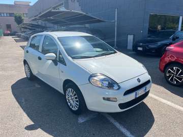 Punto 5p 1.2 Young
