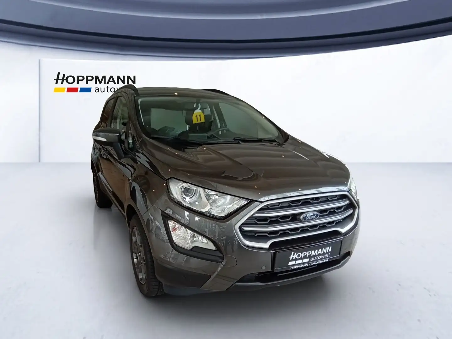 Ford EcoSport Cool & Connect Grau - 2
