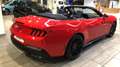 Ford Mustang Convertible 5.0 Ti-VCT GT Rojo - thumbnail 5