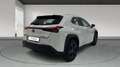Lexus UX 250h 2.0 BUSINESS NAVIGATION AUTO 184 5P Weiß - thumbnail 5