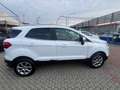 Ford EcoSport EcoSport  1.0 ecoboost Titanium 100cv my19 Blanc - thumbnail 2