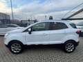 Ford EcoSport EcoSport  1.0 ecoboost Titanium 100cv my19 Blanc - thumbnail 6