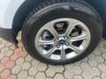 Ford EcoSport EcoSport  1.0 ecoboost Titanium 100cv my19 Blanc - thumbnail 12