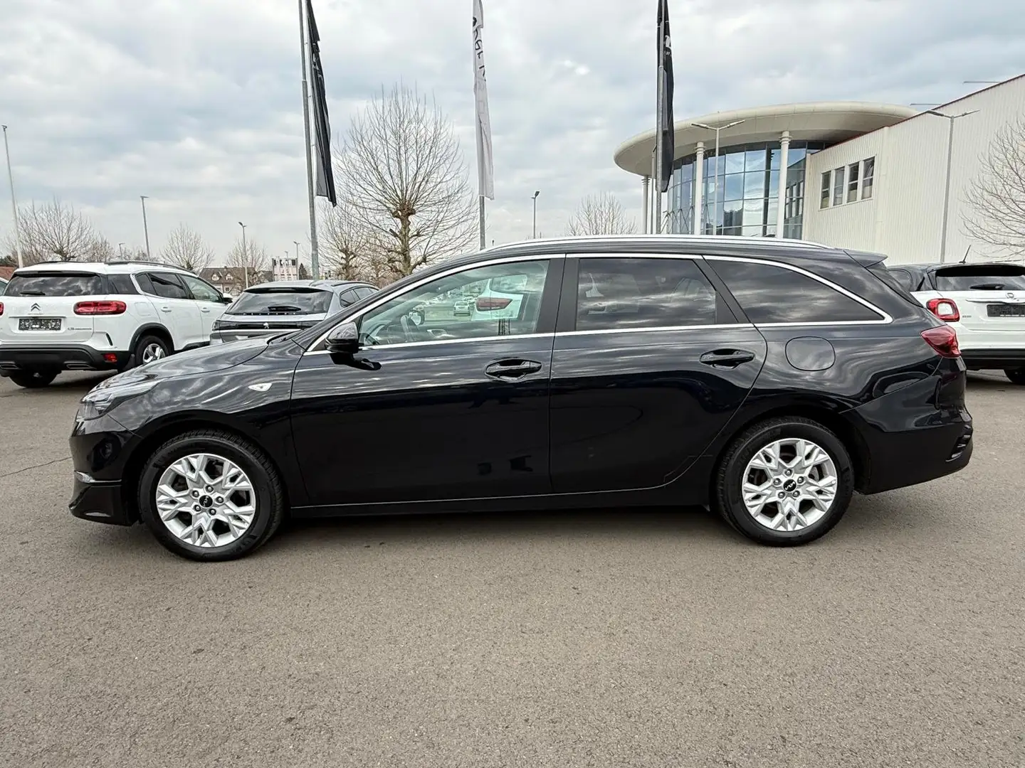 Kia Ceed SW / cee'd SW 1,6 CRDi SCR ISG Silber 48V DCT Schwarz - 2