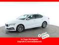 Skoda Octavia 2.0 TDI Style LED+LEDER+NAVI+RFK+VIRTUAL Weiß - thumbnail 1