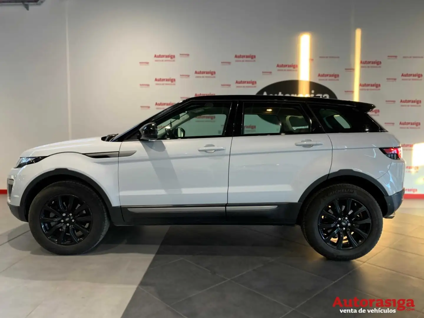 Land Rover Range Rover Evoque 2.0TD4 SE Dynamic 4WD Aut. 150 Blanc - 2