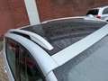 Renault Scenic 1.6 dCi Bose|7P.|PANNO|LEER|NAVI|TREKHAAK Gris - thumbnail 10