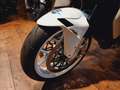 MV Agusta Brutale 800 Italia" Special Edition "100 Jahre" Weiß - thumbnail 3