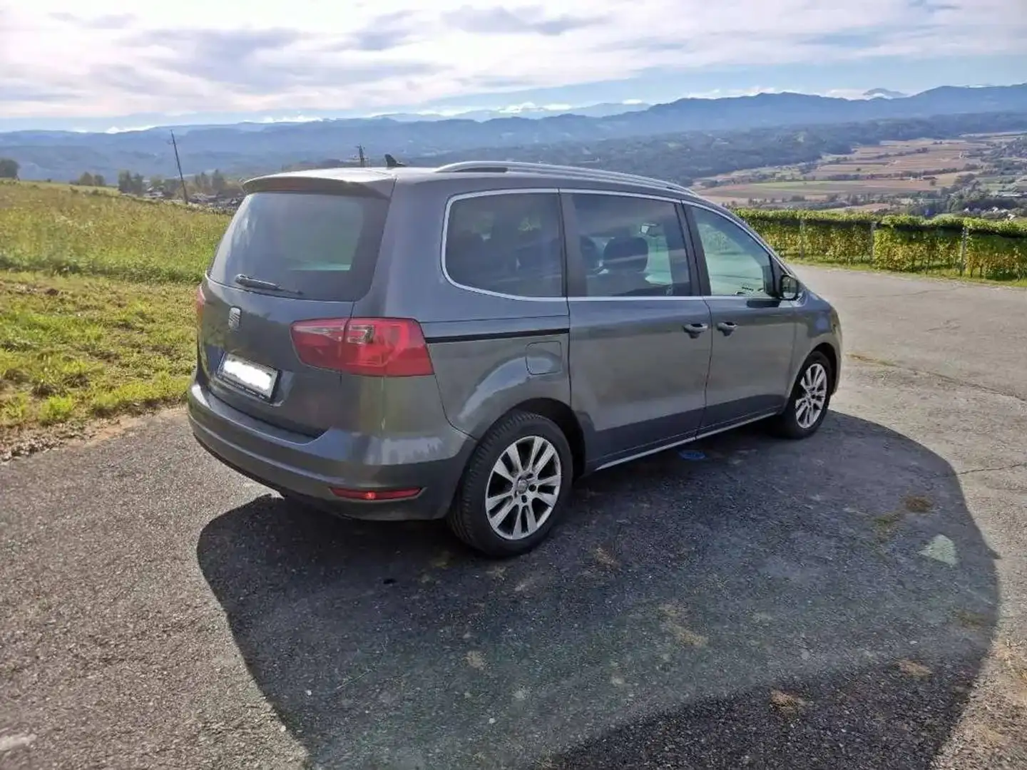 SEAT Alhambra 2,0 TDI 4x4 PICKERL NEU Grau - 2