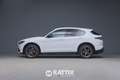 Alfa Romeo Stelvio 2.2 t 210CV Veloce Q4 auto Bianco - thumbnail 2